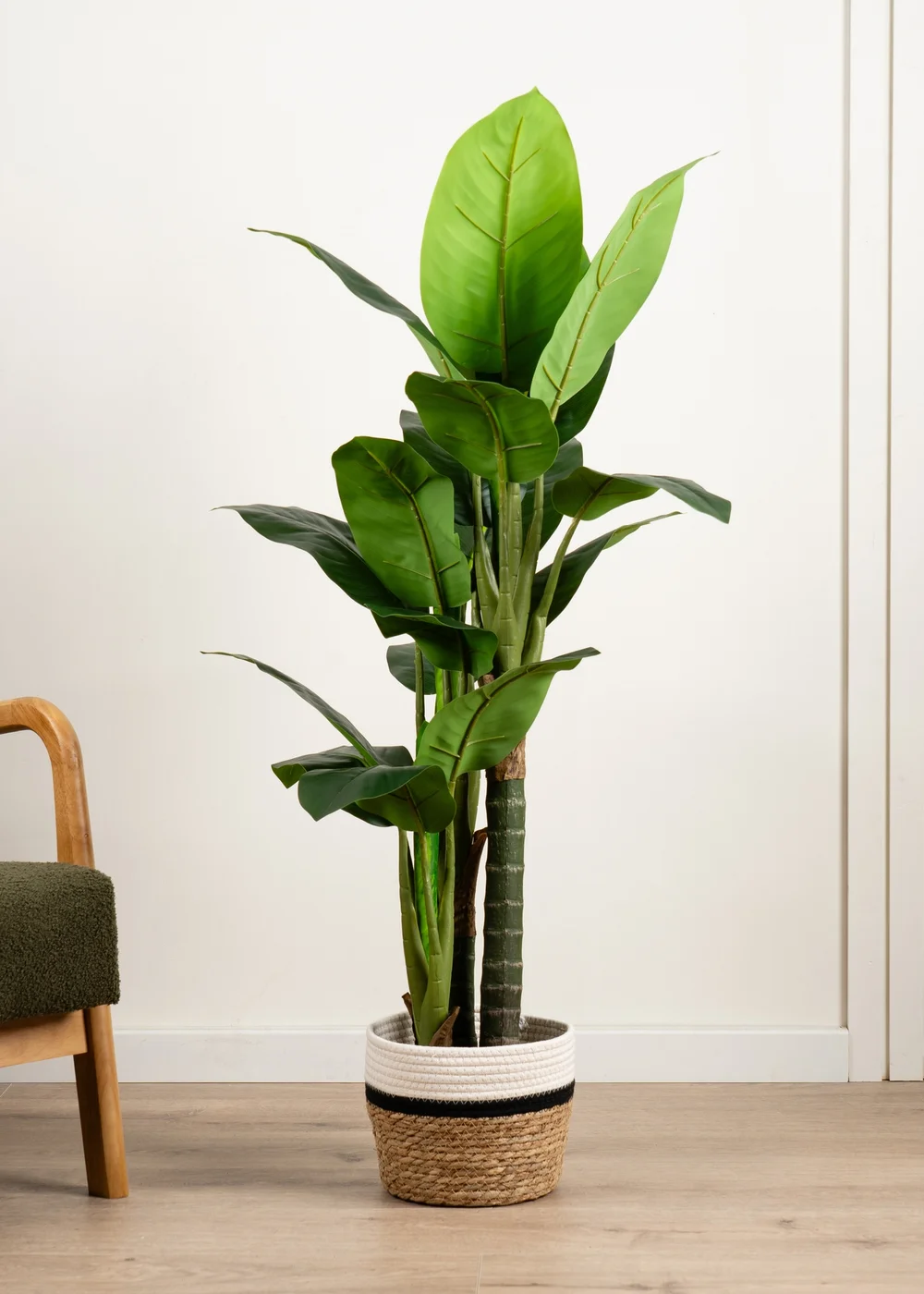 Scottish Everlastings Real Touch Dieffenbachia 120cm - One Size Image 1