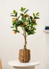 Scottish Everlastings Orange Tree in Woven Basket 76cm - One Size Image 1