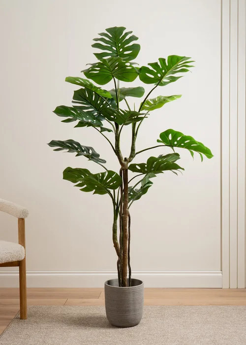 Scottish Everlastings Real Touch Monstera 160cm - One Size Image 1