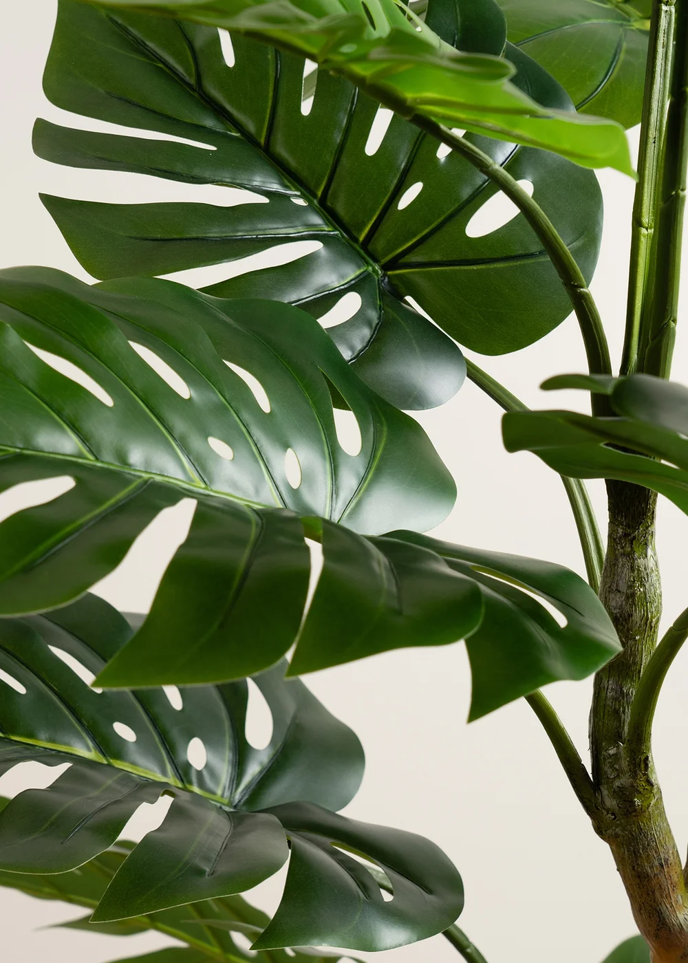 Scottish Everlastings Real Touch Monstera 160cm - One Size Image 3