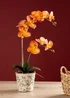 Scottish Everlastings Real Touch Orange Phalaenopsis Orchid in Pot 61cm - One Size Image 1