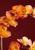Scottish Everlastings Real Touch Orange Phalaenopsis Orchid in Pot 61cm - One Size Image 4