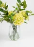 Scottish Everlastings Green Hydrangeas in Glass Vase 41cm - One Size Image 3