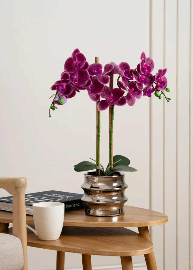 Scottish Everlastings Pink Orchid in Silver Ceramic Pot 54cm