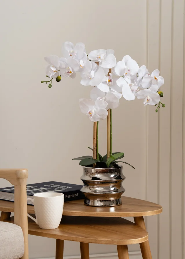 Scottish Everlastings White Orchid in Silver Ceramic Pot 54cm
