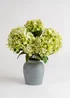 Scottish Everlastings Hydrangeas in Grey Vase 50cm - One Size Image 2