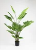 Scottish Everlastings Real Touch Philodendron Tree 175cm - One Size Image 2