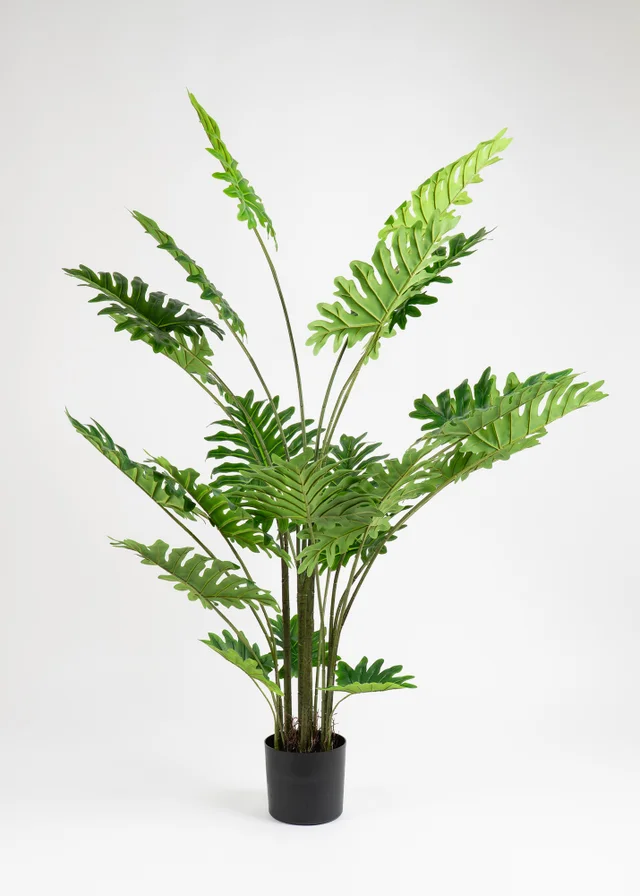 Scottish Everlastings Real Touch Philodendron Tree 175cm