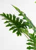 Scottish Everlastings Real Touch Philodendron Tree 175cm - One Size Image 3