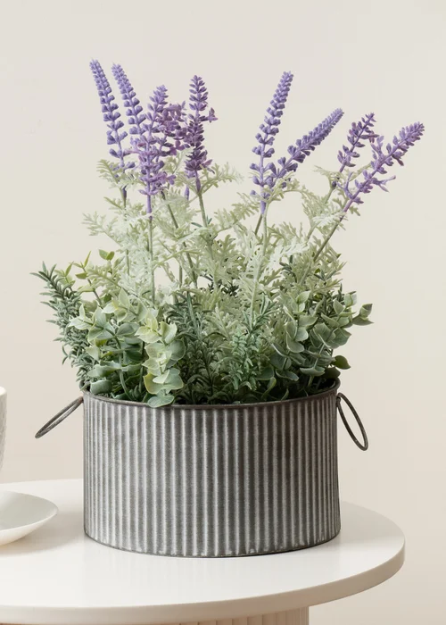 Scottish Everlastings Lavender in Iron Pot 37.5cm - One Size Image 1