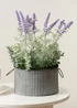 Scottish Everlastings Lavender in Iron Pot 37.5cm - One Size Image 1