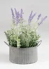 Scottish Everlastings Lavender in Iron Pot 37.5cm - One Size Image 2