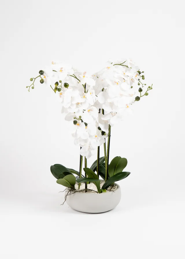 Scottish Everlastings Real Touch 10-stem Orchid in Grey Ceramic Pot 68cm