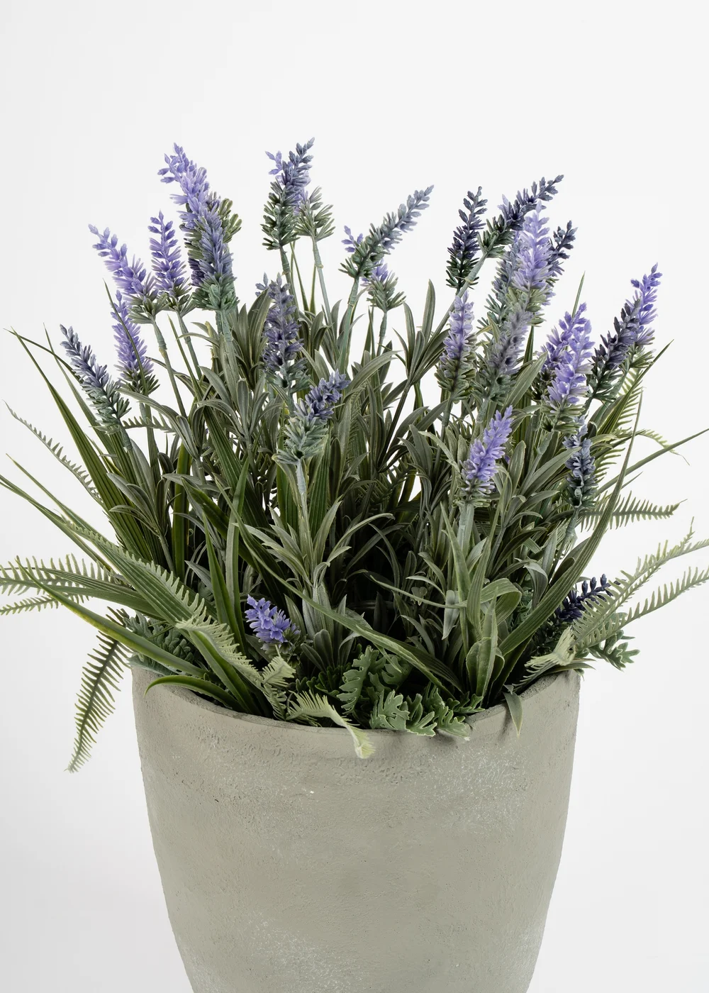 Scottish Everlastings Lavender & Grasses in grey cement pot 60cm - One Size Image 3
