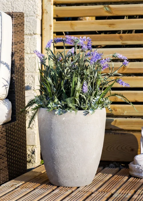 Scottish Everlastings Lavender & Grasses in grey cement pot 60cm - One Size Image 1