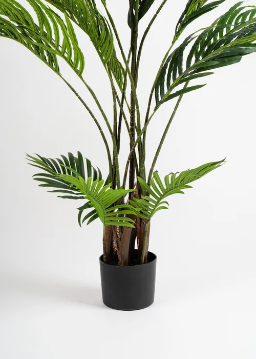 Scottish Everlastings Real Touch Pearl Palm Tree 155cm - One Size Image 3