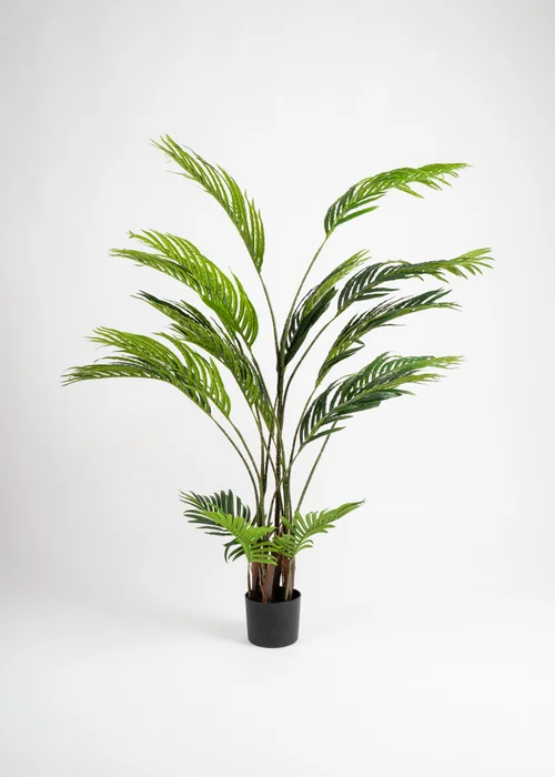 Scottish Everlastings Real Touch Pearl Palm Tree 155cm - One Size Image 2