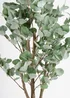 Scottish Everlastings Eucalyptus Tree 150cm - One Size Image 3