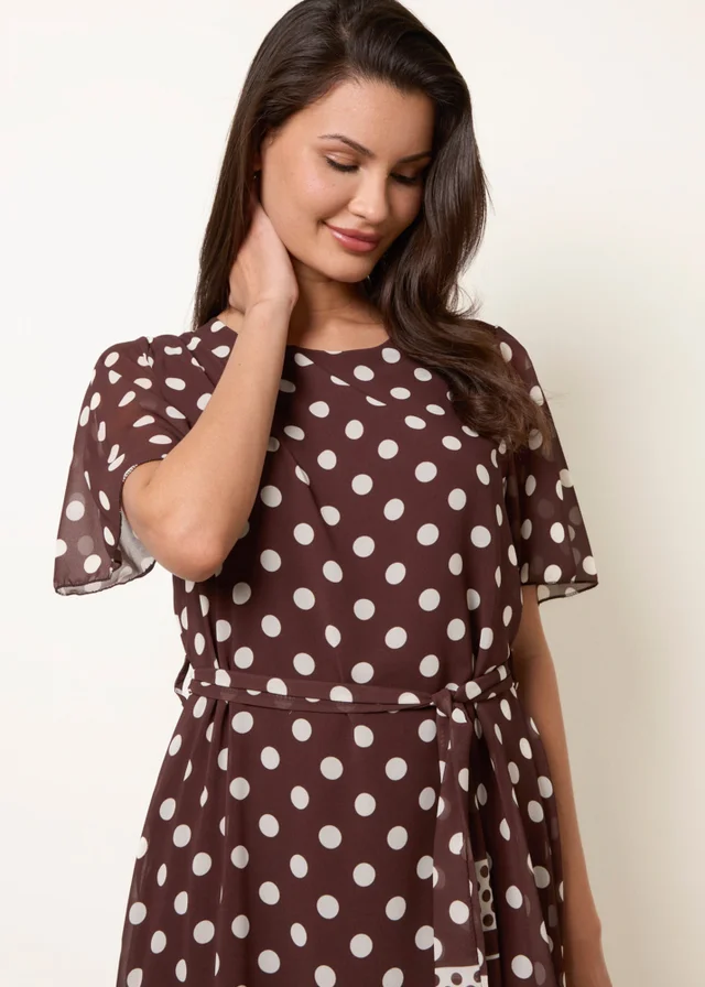 Blue Vanilla Brown Polka Dot Short Sleeve Border Dress
