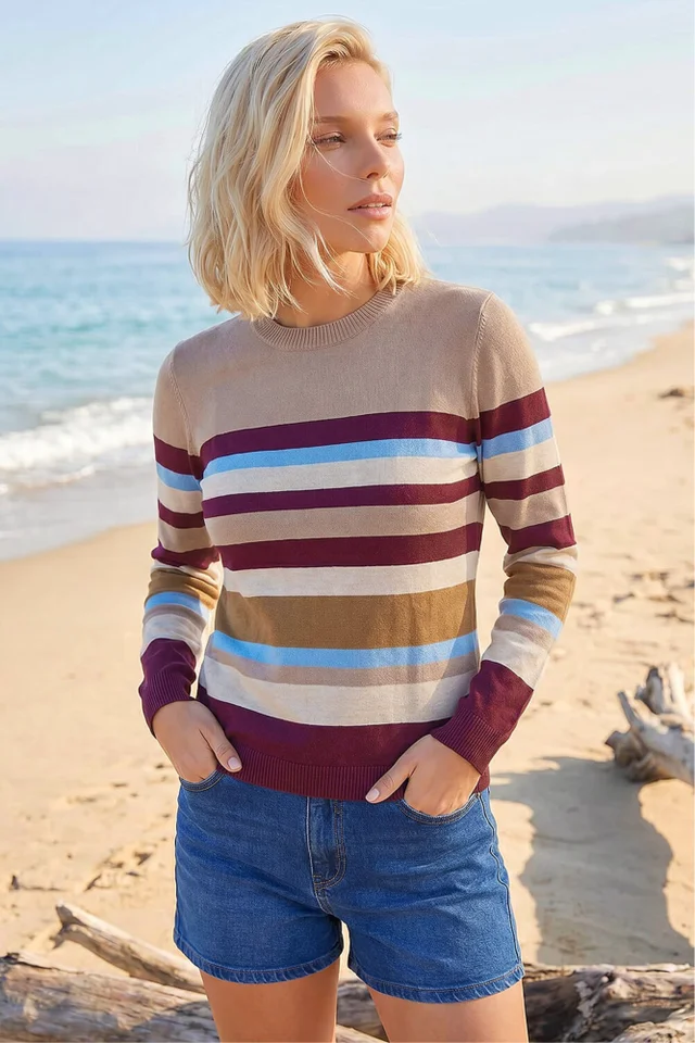 Roman Wine Petite Stripe Jumper