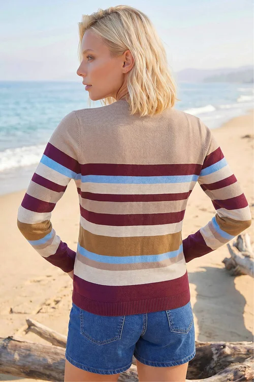 Roman Wine Petite Stripe Jumper - 14 Image 3
