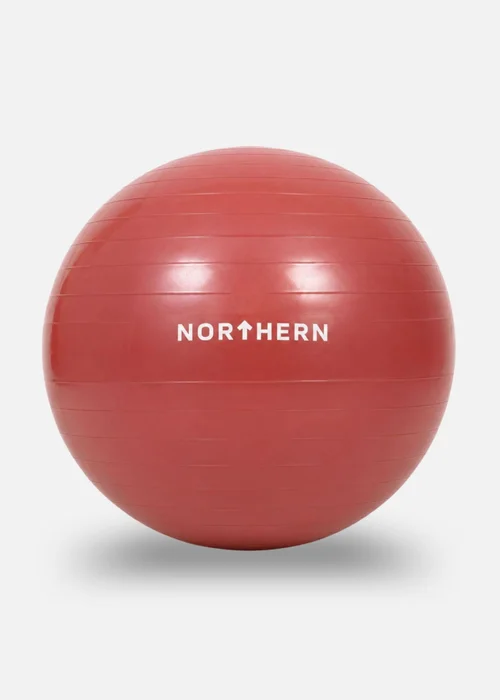 Movement Studio by Northern Dusk Pink Anti-Burst Swiss Ball (55mm) - No Size Image 1