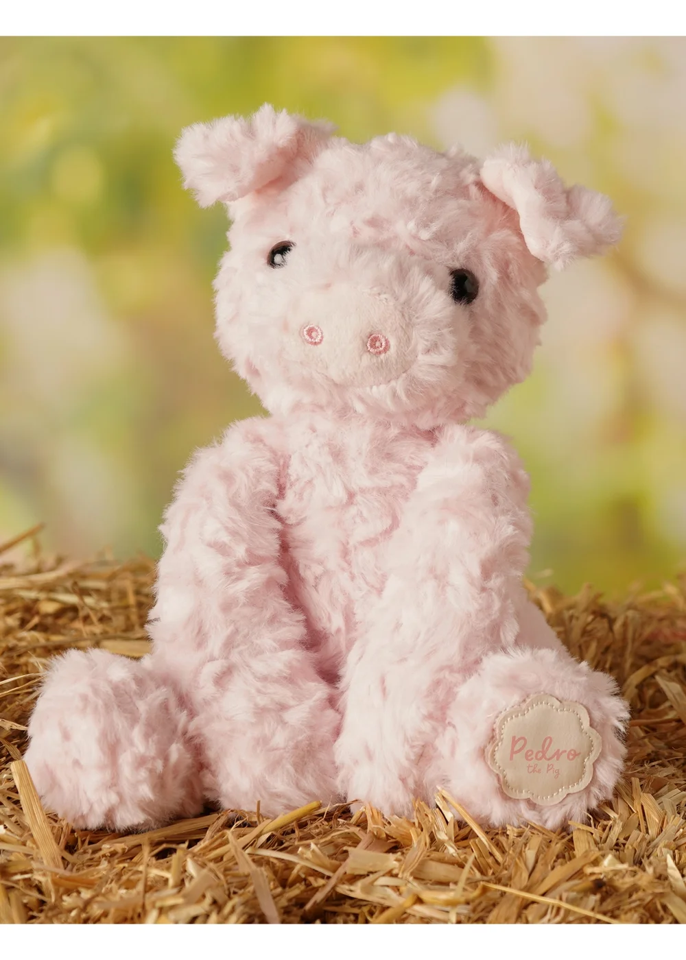 Softies Pedro The Plush Pig - One Size Image 1