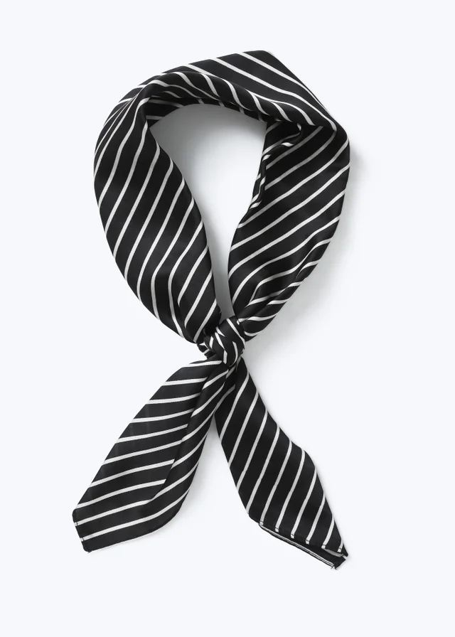 Muse Black and White Stripe Scarf