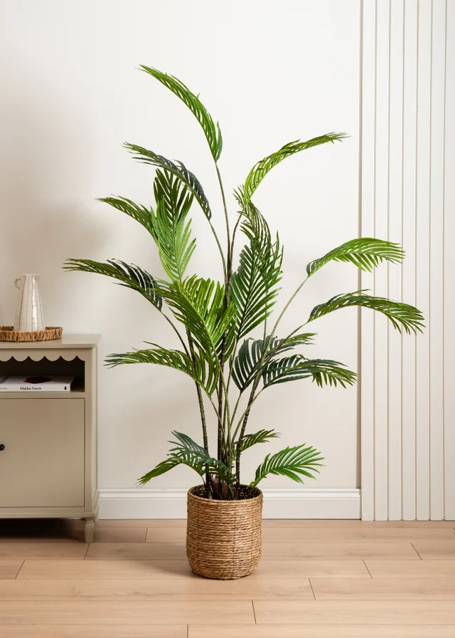 Scottish Everlastings Real Touch Pearl Palm Tree 180cm