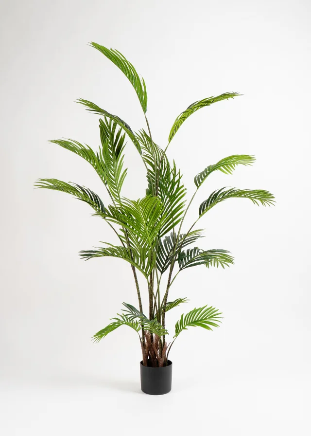 Scottish Everlastings Real Touch Pearl Palm Tree 180cm