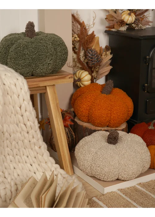 Country Living Pumpkin Cushion - Neutral - One Size Image 4