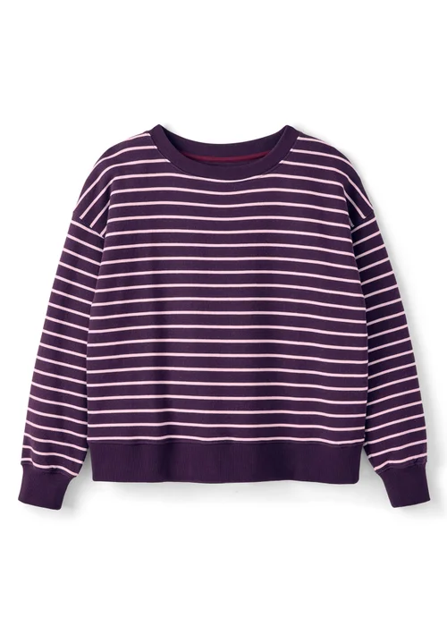 CT Active Mulberry Long Sleeve Stripe Crew Neck Sweatshirt - L Image 4