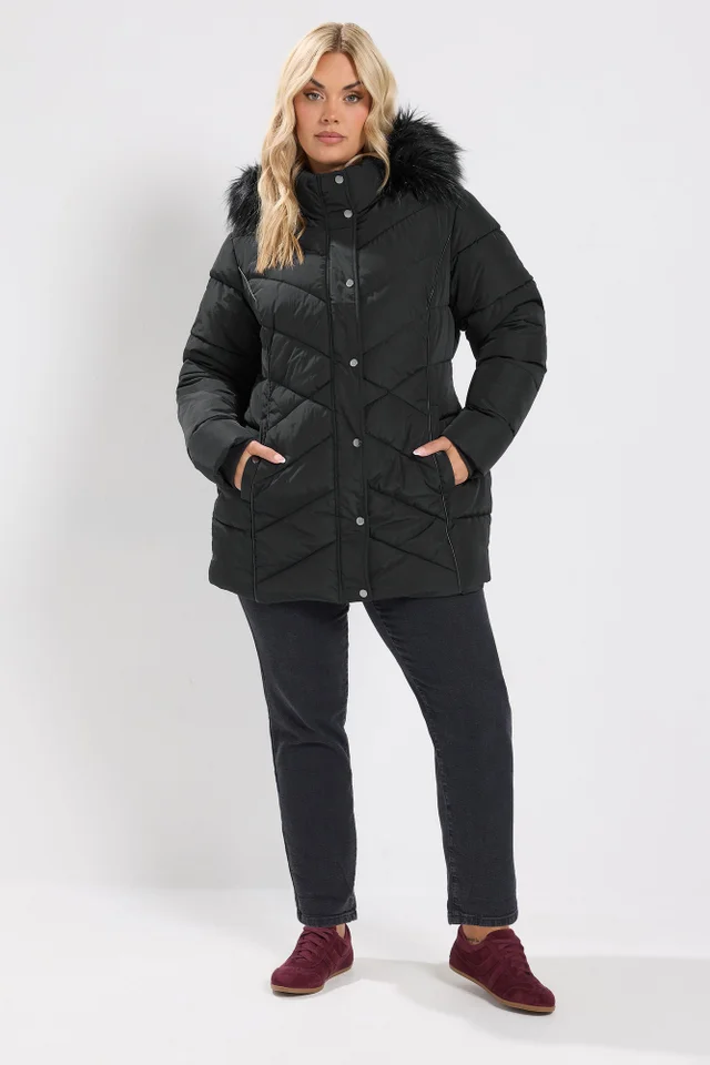 Yours Curve Black Short Padded Coat