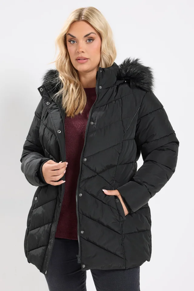 Yours Curve Black Short Padded Coat