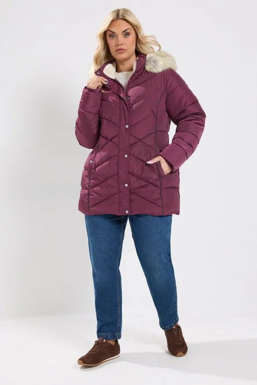 Yours Curve Burgundy Red Short Padded Coat - 34-36 Image 2
