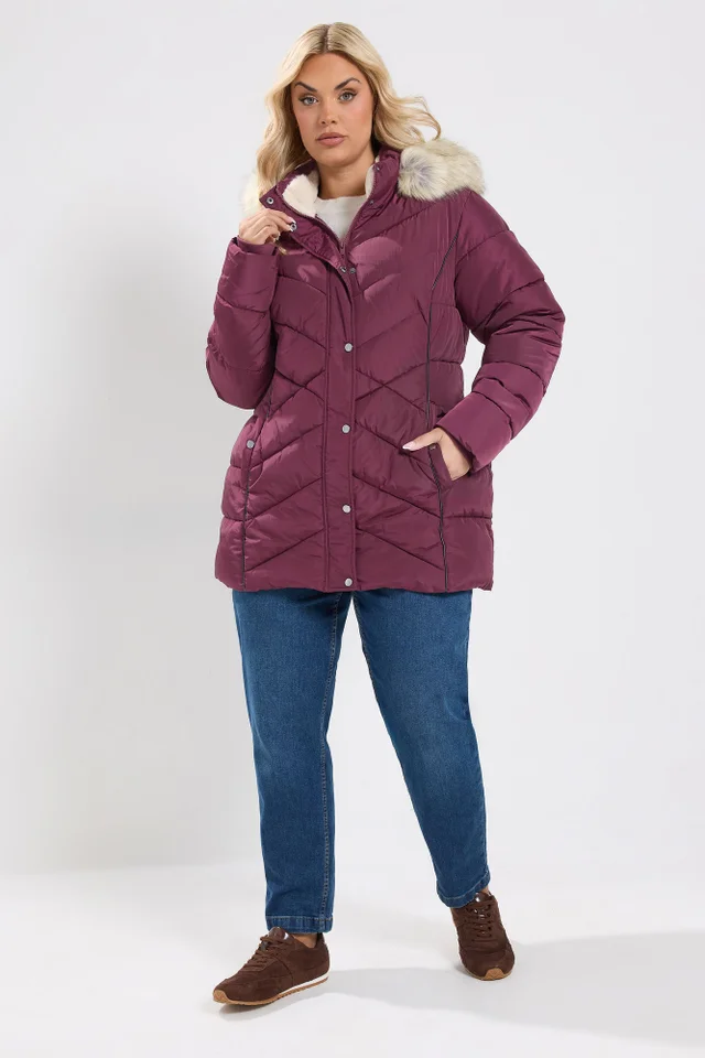 Yours Curve Burgundy Red Short Padded Coat