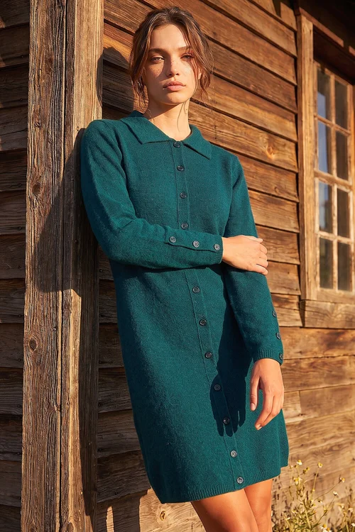 Roman Dark Green Petite Collared Knit Shift Dress - 10 Image 1