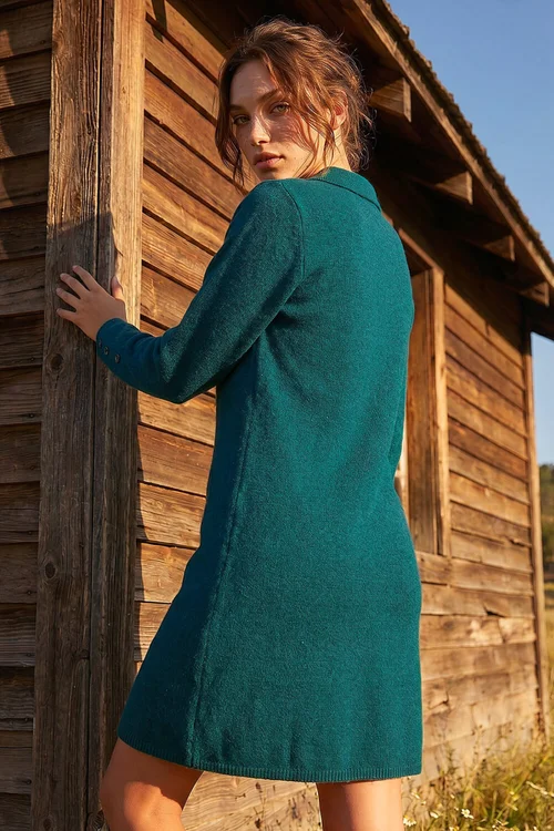 Roman Dark Green Petite Collared Knit Shift Dress - 10 Image 3