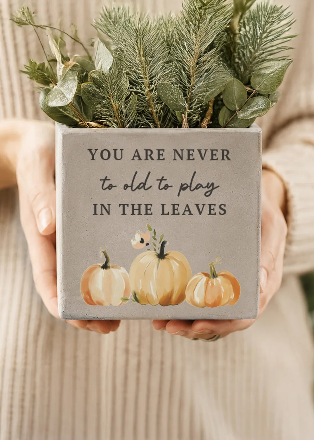 Personalised Memento Company Pumpkin Grey Concrete Planter - One Size Image 2