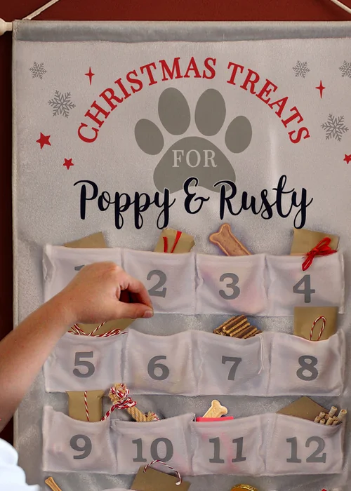 Personalised Memento Company Grey Pet Advent Calendar - One Size Image 2