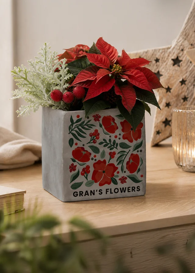 Personalised Memento Company Grey Poinsettia Concrete Planter