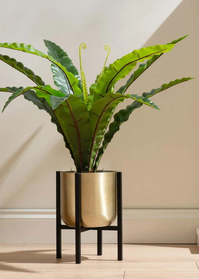 Scottish Everlastings Gold Planter on Black Stand Small
