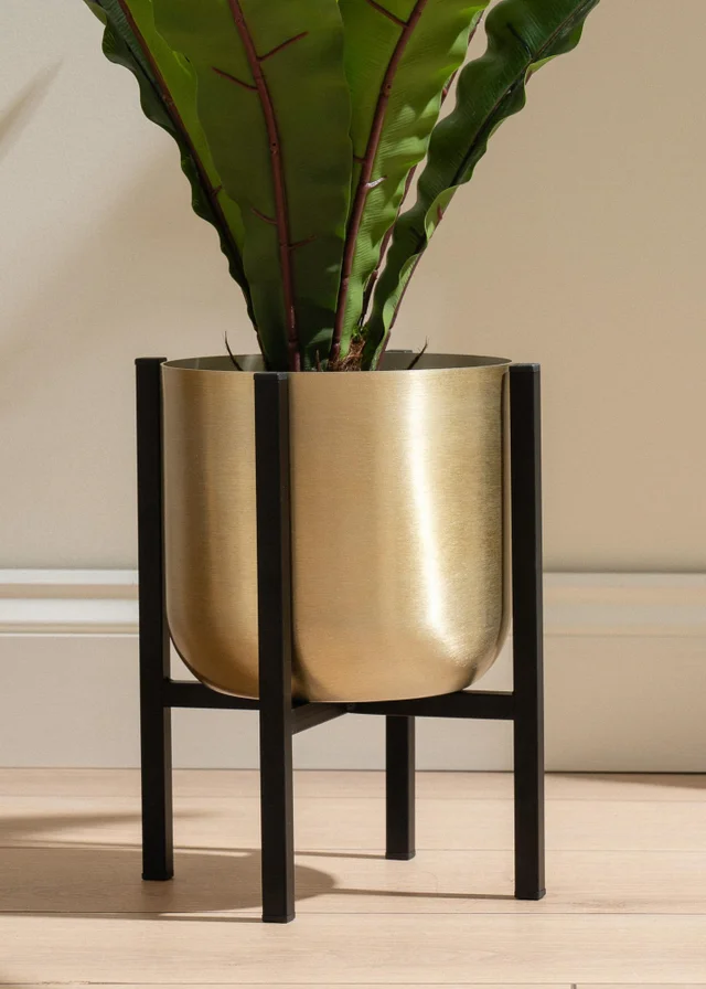 Scottish Everlastings Gold Planter on Black Stand Small