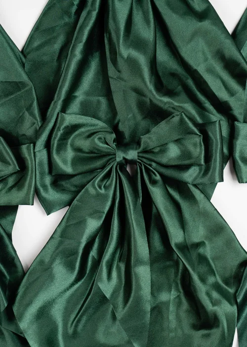 Scottish Everlastings Satin Bow Clip 6pc Set Green 19cm - One Size Image 2