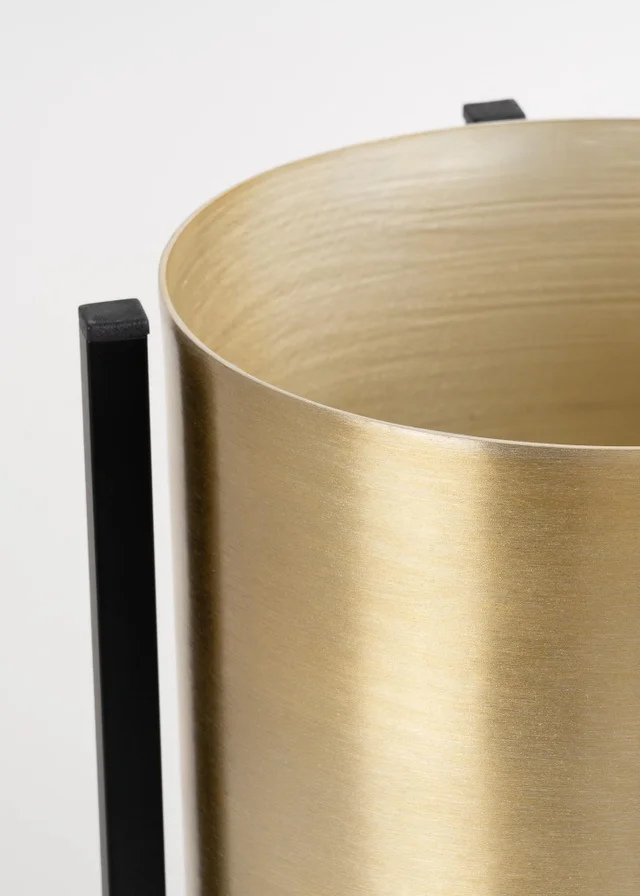 Scottish Everlastings Gold Planter on Black Stand Large