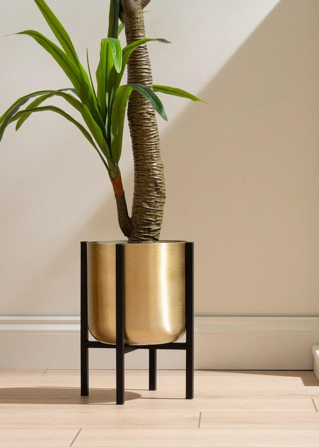 Scottish Everlastings Gold Planter on Black Stand Large