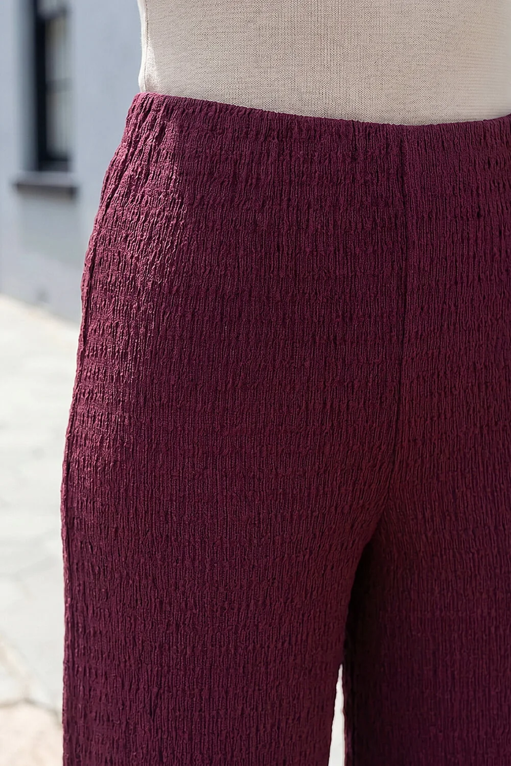 Roman Wine Petite Textured Stretch Trouser - 14 Image 4