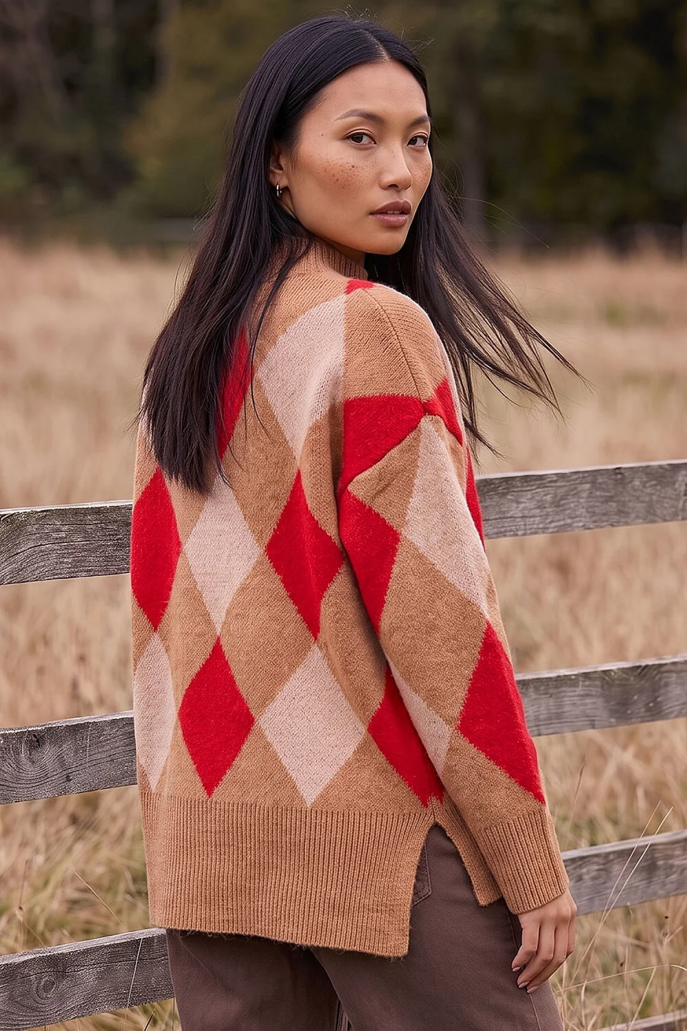 Roman Camel Diamond Argyle Knit - 10 Image 2
