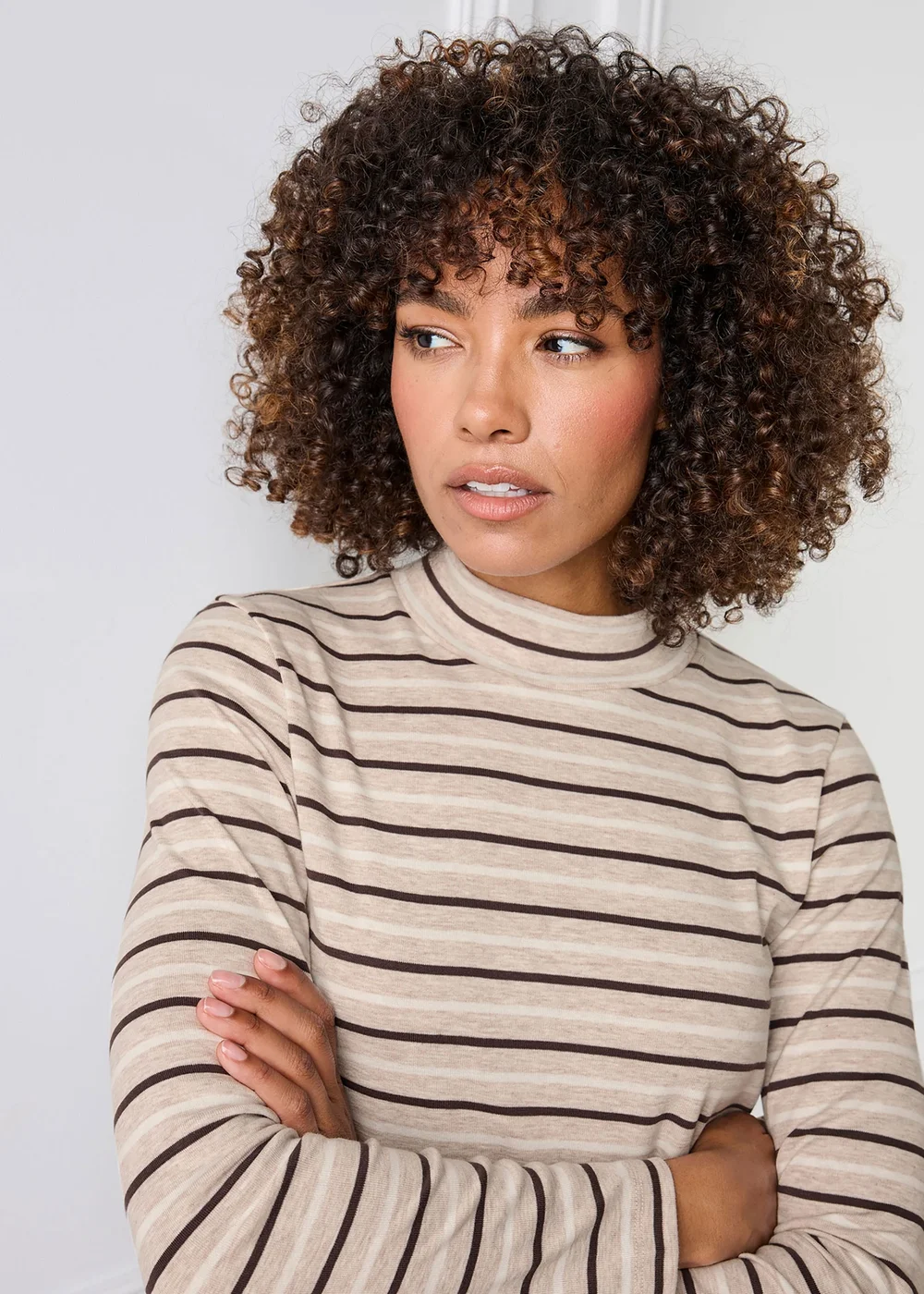 Cotton Traders Beige Marl Wrinkle Free Long Sleeve Stripe Turtleneck Top - 26 Image 4