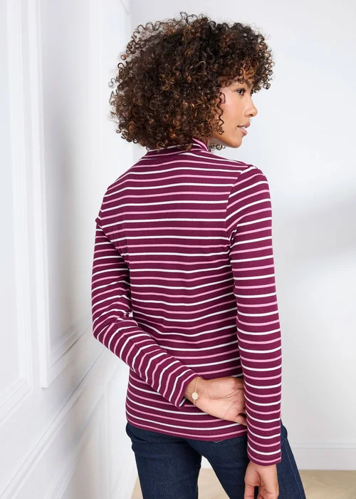 Cotton Traders Berry Wrinkle Free Long Sleeve Stripe Turtleneck Top - 20 Image 3